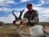 antelope_success_07_1-jpg