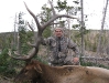 archery-elk-pronghorn