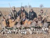 waterfowl-17