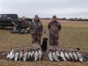 waterfowl-18