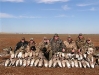 waterfowl-19